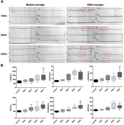 Effects of different simulated submarine escape depths by free ascent in animal models